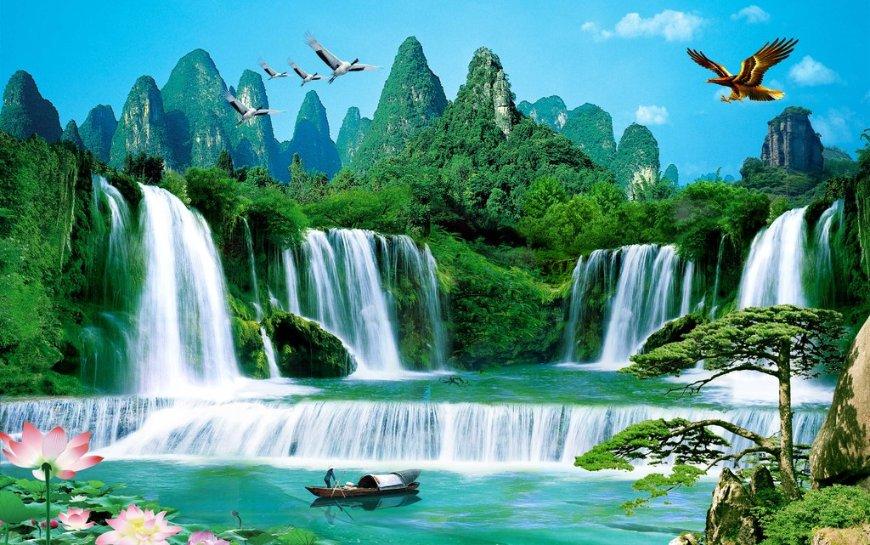 救援卷耳兔